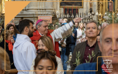 Fotos: Domingo de Ramos 2025