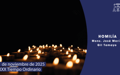 “Estamos llamados a la santidad”