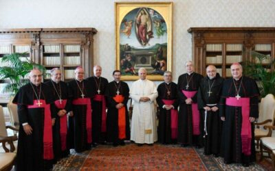 Mons. Gil Tamayo traslada al Papa la comunión y el cariño de la Diócesis de Granada