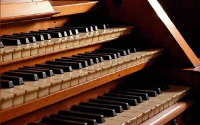 “Los tiempos litúrgicos y el órgano”