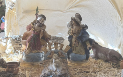 “Vino a los suyos y los suyos no lo recibieron” (Jn 1, 11)