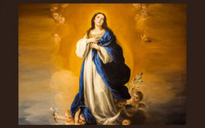 “Vamos a acudir a Ella”