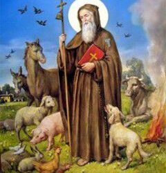 Bendición de animales y mascotas, en la fiesta de san Antón