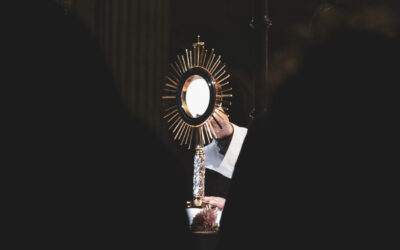 Una Luz en la Noche Enero 2026