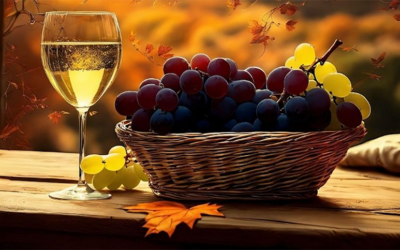 Cata de vinos, para celebrar el don del vínculo matrimonial