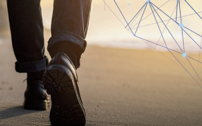 Invitación en el día del Seminario a dejar las redes y seguir a Jesús