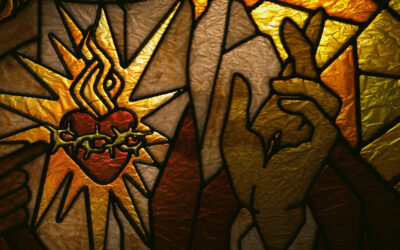 Nota doctrinal de la CEE sobre las emociones