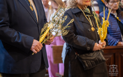 Comentario al Evangelio en el Domingo de ramos