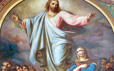 “Todos nosotros estamos llamados a la santidad que nace de la imitación de Cristo”
