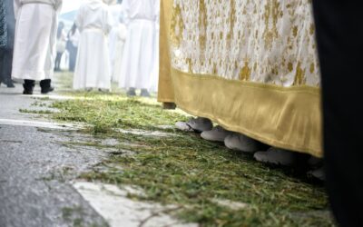 El “inmenso privilegio y responsabilidad de pasear” al Señor por las calles de Granada